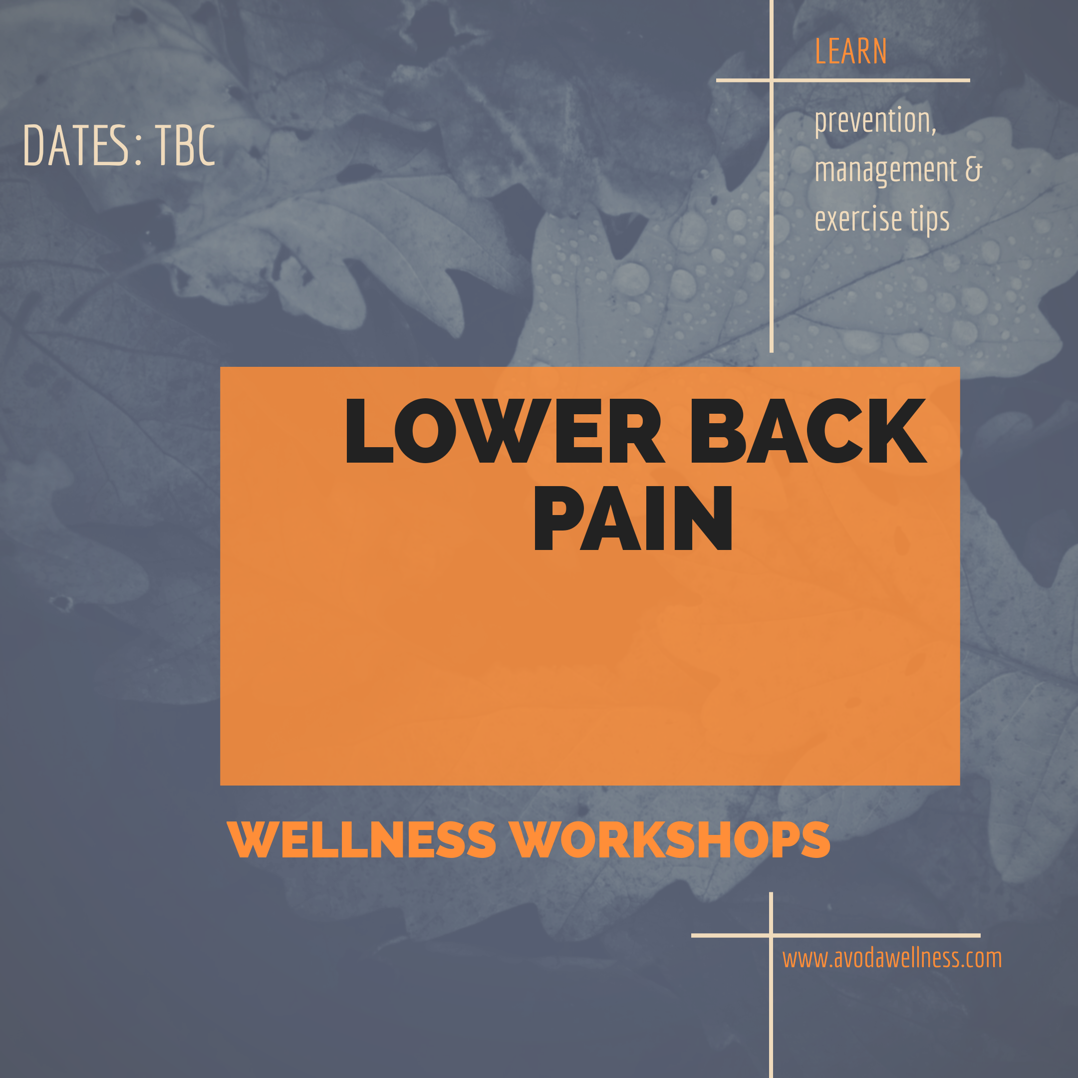 20201130_142701_0000